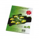Etikete ILK 99,1x93,1 A4 100L RILLPRINT