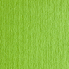 Papir Fabriano Elle Erre 220g 35x50 Verde Pisello