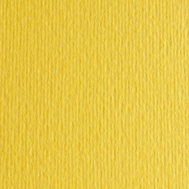 Papir Fabriano Elle Erre 220g 50x70 Cedro