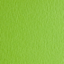 Papir Fabriano Elle Erre 220g 50x70 Verde Pisello