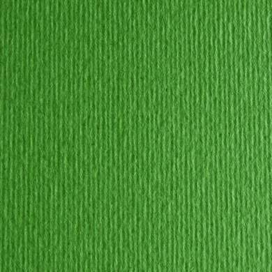 Papir Fabriano Elle Erre 220g 50x70 Verde Pisello
