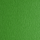 Papir Fabriano Elle Erre 220g 50x70 Verde Pisello