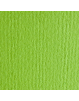 Papir Fabriano Elle Erre 220g 70x100 Verde Pisello