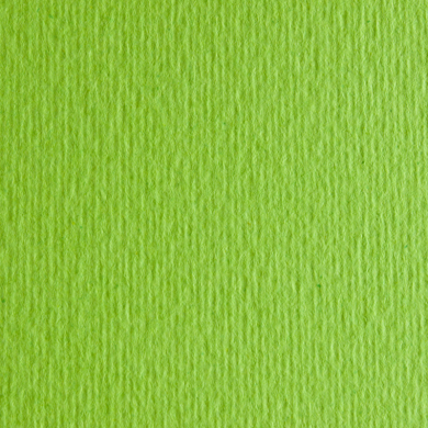 Papir Fabriano Elle Erre 220g 70x100 Verde Pisello