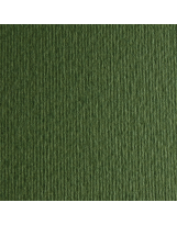 Papir Fabriano Elle Erre 220g 70x100 Verdone