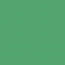 Papir Bristol 200 A4 200g Verde