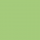 Papir Bristol 200 A4 200g Pistacchio