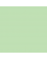 Papir Bristol 200 A4 200g Verde Chiaro