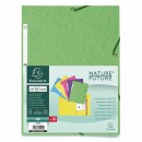 Fascikl s gumicom A4 Exacompta Chartreuse limeta zeleni